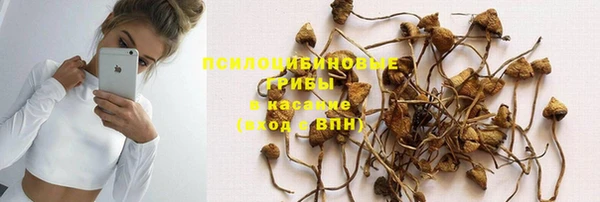 гидра Покров