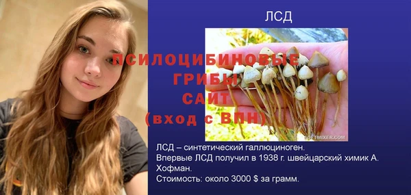 трава Пересвет