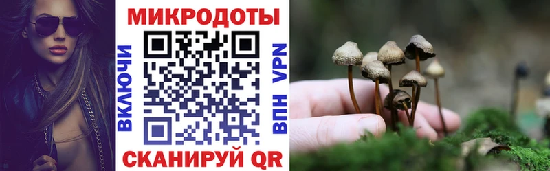 купить наркотики сайты  Старый Крым  Псилоцибиновые грибы Psilocybine cubensis 